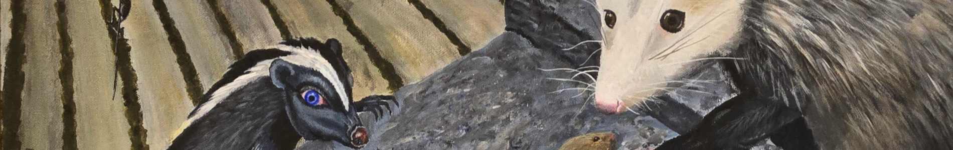 Header Image