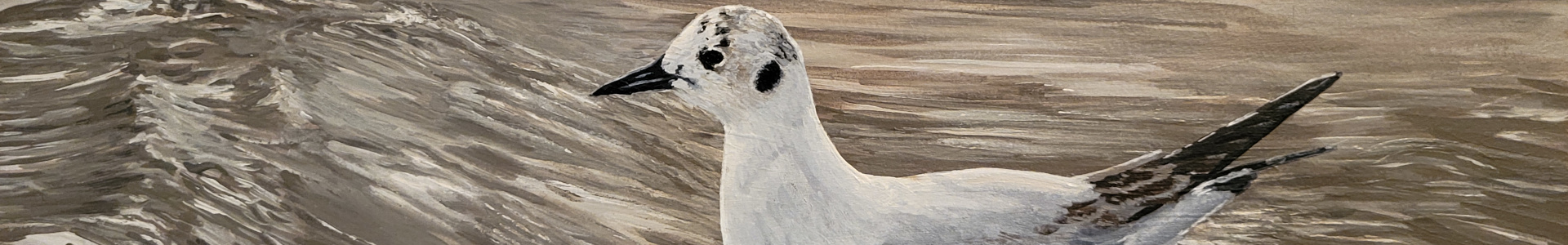 Header Image