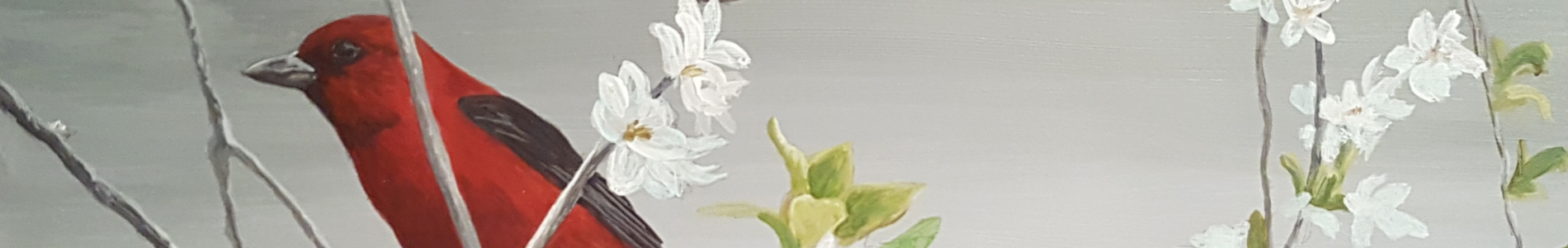 Header Image