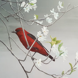 Scarlet Tanager - Plum Tree by Steve McAllister